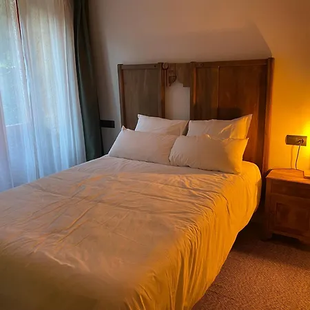 Confort, Espacio Y Naturaleza Jove